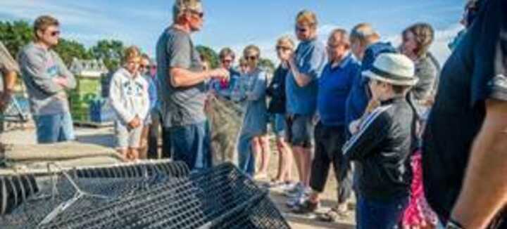 Istrenn Passion Oyster Farm bezoeken Istrenn Passion Oyster Farm bezoeken