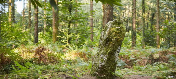 Menhir Men Bihan Menhir Men Bihan