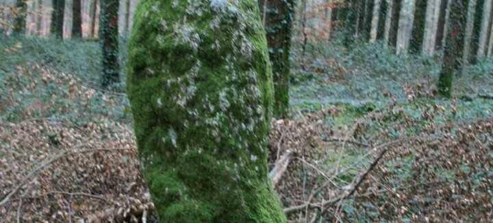 Menhir Men Bihan Menhir Men Bihan