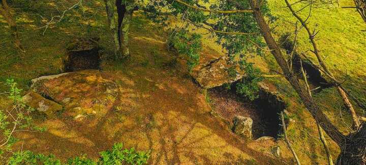 Dolmen de Kervilor Mané Bras Dolmen de Kervilor Mané Bras