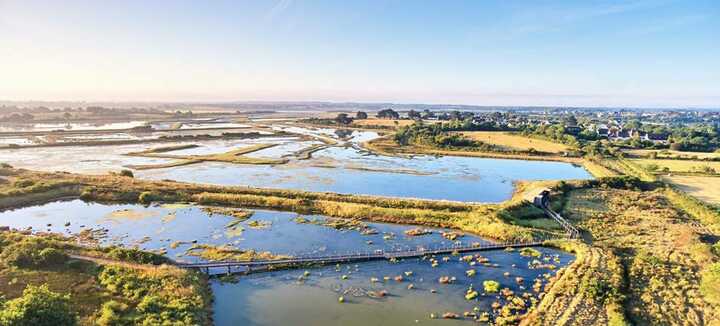 Réserve Naturelle des Marais de Séné