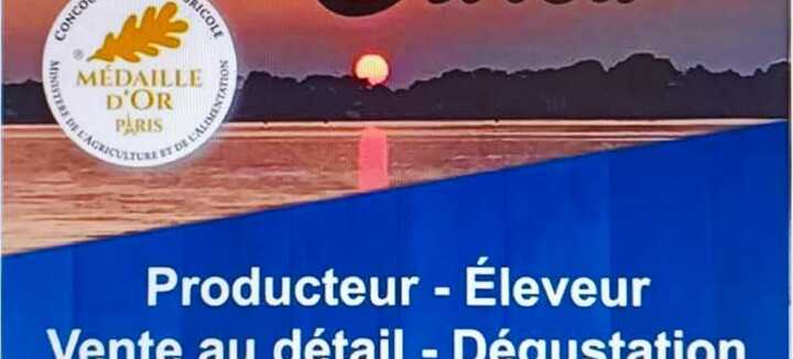 Breizh Izel Ostrea Breizh Izel Ostrea