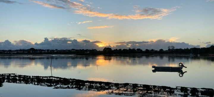 Larmor Ostrea Larmor Ostrea