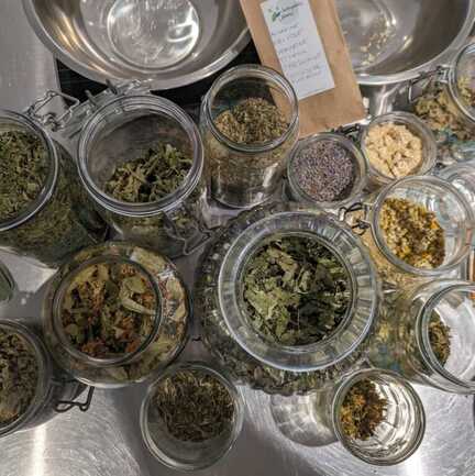 11-incroyables-chemins-ateliers-plantes-sauvages-medicinales-tisane