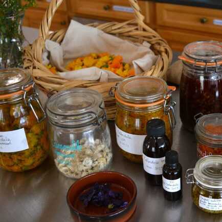 4-incroyables-chemins-ateliers-plantes-sauvages-medicinales-baume-teinture-mere-huile-maceration