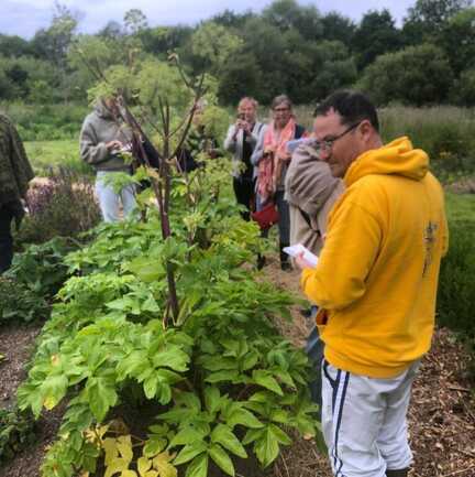 5-incroyables-chemins-ateliers-plantes-sauvages-medicinales-botanique-formation-phytotherapie