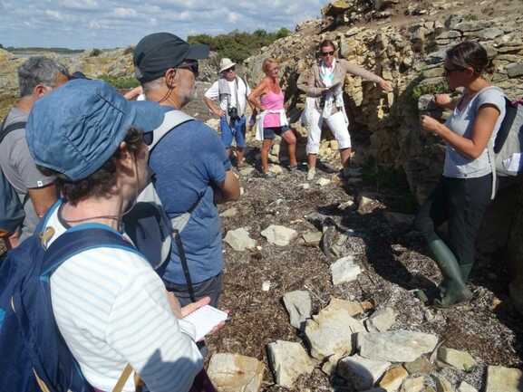 guide-nature-melanie-chouan-trinite-sur-mer-morbihan-bretagne-sud