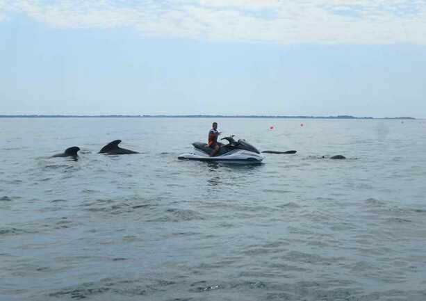 Jet-Breizh-Aventures-saint-philibert-morbihan-bretagne-sud