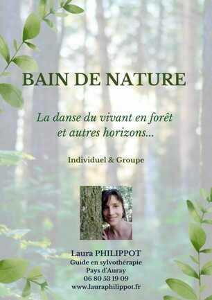 Bain de forêt & Sylvothérapie avec Laura Philippot
