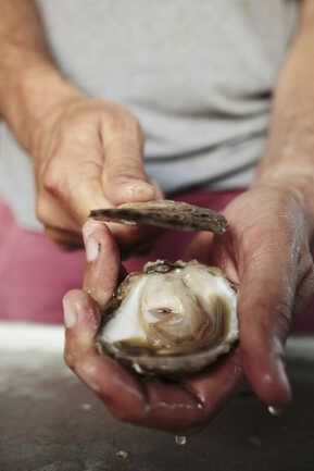 Bretons En Cuisine - Balade Gourmande