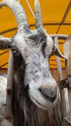 514338314_709853388470769_5017454150372304663_n