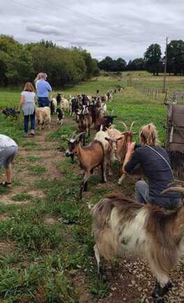 514395789_722366837219424_3572917075266480063_n