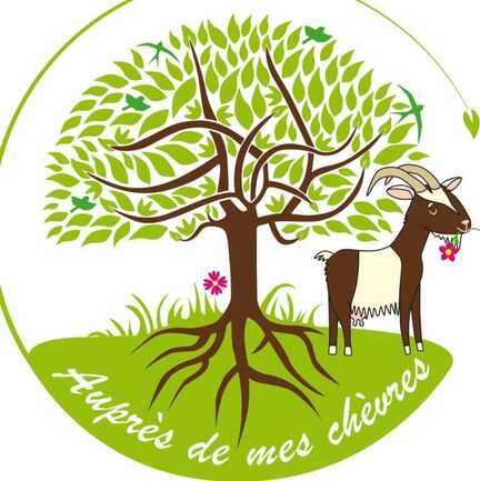 548504952_763960279726746_2995909129482254150_n