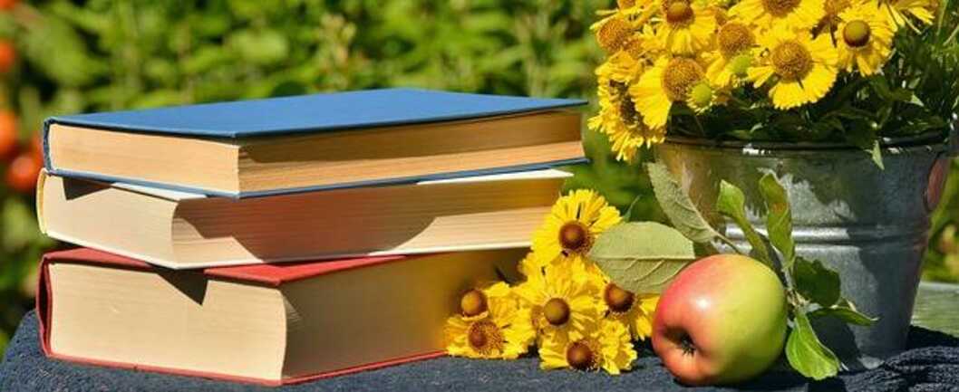 books-1757734_640