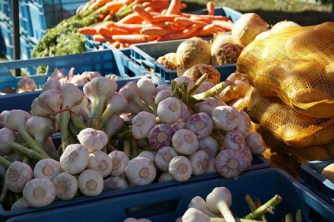 Marché de Landévant