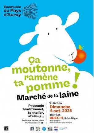 ça moutonne, ramène ta pomme