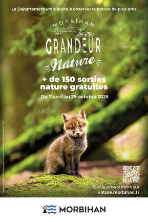 "Morbihan Grandeur Nature" - A l’intérieur de la ruche, la vie secrète des abeil