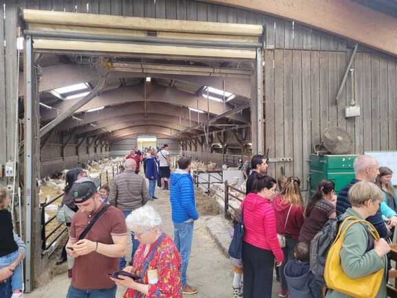 Marché festif à la ferme