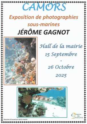 Exposition de photographies sous-marines