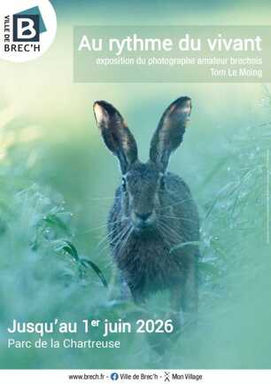 Affiche-expo-Tom-Le-Moing-724x1024
