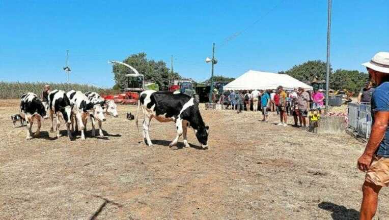 la-fete-de-l-agriculture