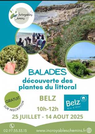 Incroyables chemins