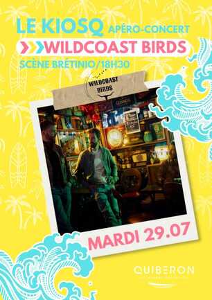 birds