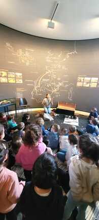 Visite guidée à petits pas