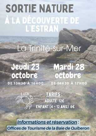 Découverte de l'estran : les petits animaux du bord de mer