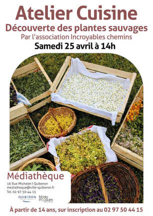 25_04_26_atelier_cuisine_plantes-scaled