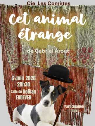 Spectacle Animal étrange