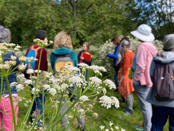 incroyables-chemins-stage-phytotherapie-herboristerie
