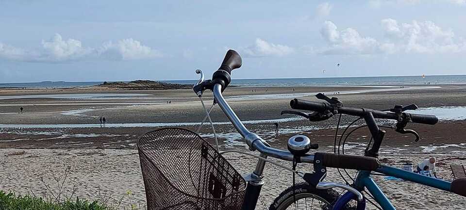"Le Petit Gite By Autrement Lieux de Pause à Carnac" - Gîte N°56G3437 – CARNAC – Morbihan Bretagne Sud