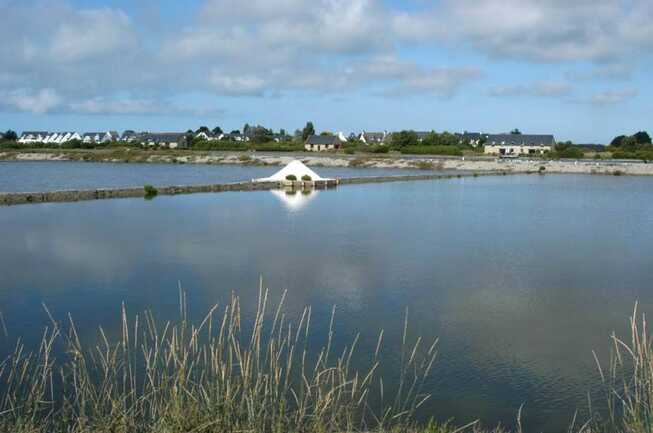 "Le Petit Gite By Autrement Lieux de Pause à Carnac" - Gîte N°56G3437 – CARNAC – Morbihan Bretagne Sud