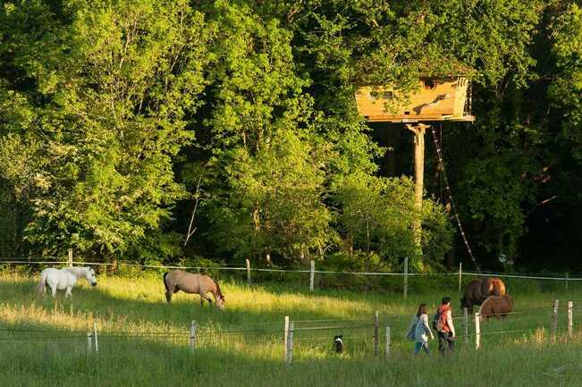 Cabane-Dihan-Ploemel-Morbihan-Bretagne-Sud