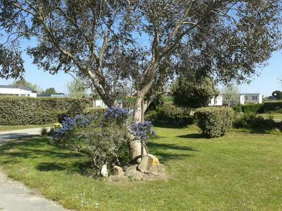 Camping-les-Ormeaux-Morbihan-Bretagne-Sud