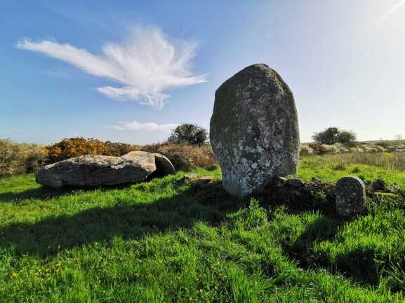 Couverture alignements Vieux Moulin