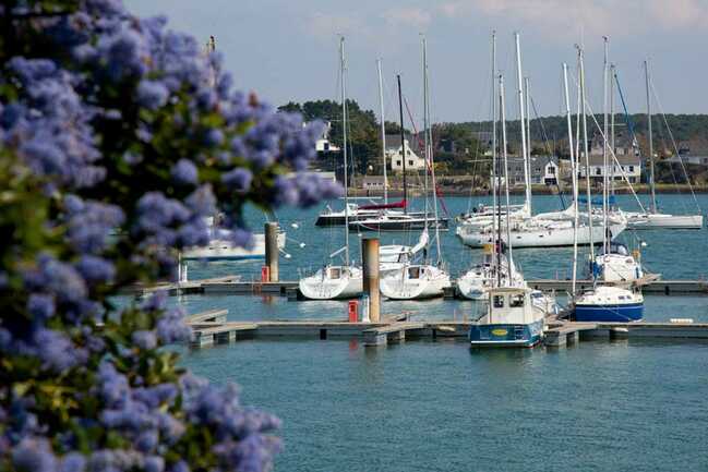 Vue-port-la-trinite-sur-mer-Petit-train-touristique-Carnac-Morbihan-Bretagne-Sud