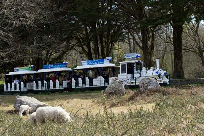 Petit-train-touristique-Carnac-Morbihan-Bretagne-Sud