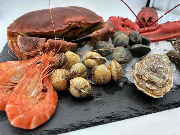 Eventail-produits-ardoise-glace