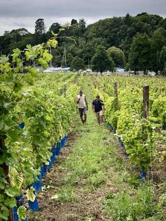 signal-2023-07-30-131741