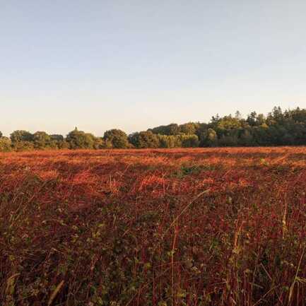 481316331_565580129834607_7538380794554622313_n