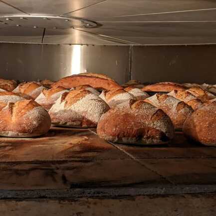 481943728_563303090062311_311359955347554660_n