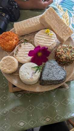 462241122_513291874793589_2863350243692246098_n