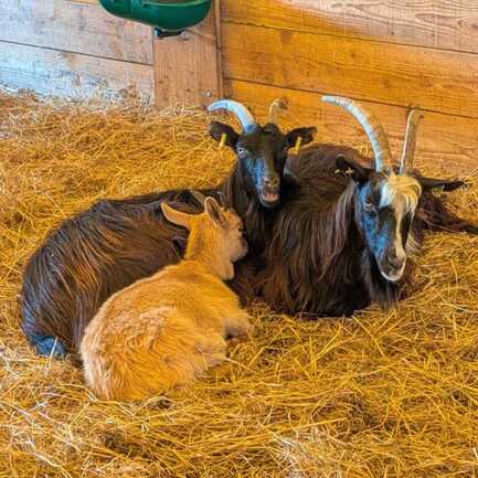 552070928_770299725759468_1032371480777536317_n