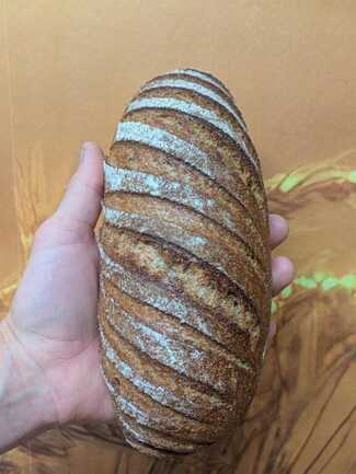 PXL_20251209_073401255.PORTRAIT.ORIGINAL