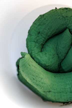 spiruline-préssée-algo-ria-Etel_5