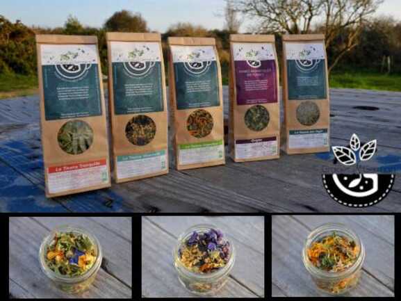 Quelques unes de nos tisanes