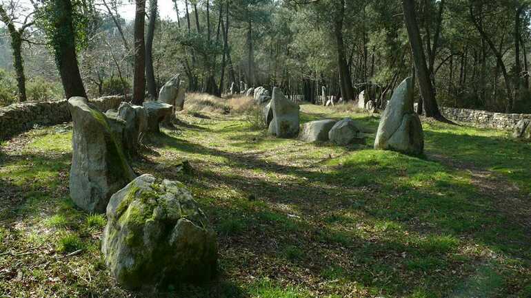 Petit Ménec - La Trinite sur Mer - morbihan Bretagne Sud