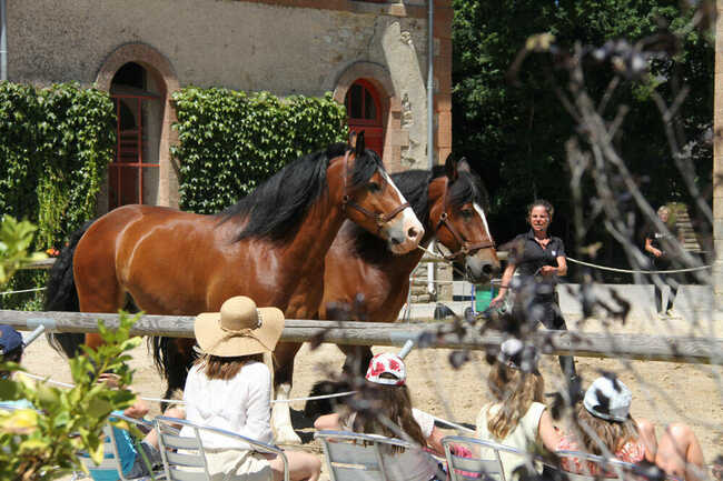 Haras National d'Hennebont